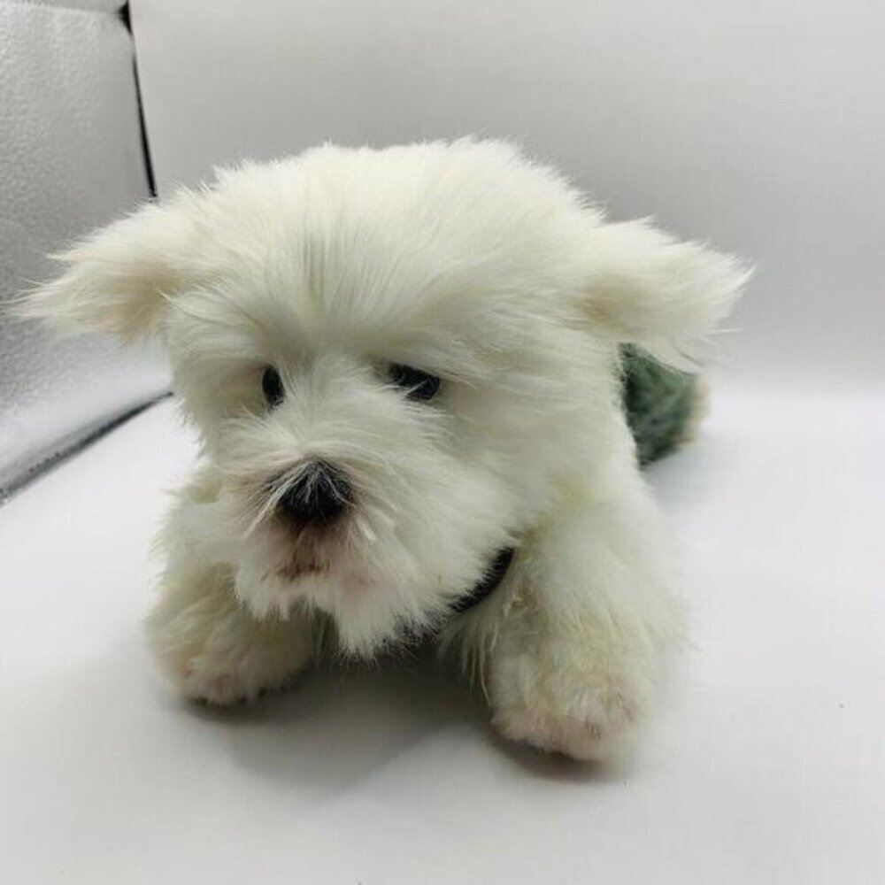 Russ Yomiko Classics Sheepdog Puppy Dog Plush Stuffed Animal Toy 10"​​​